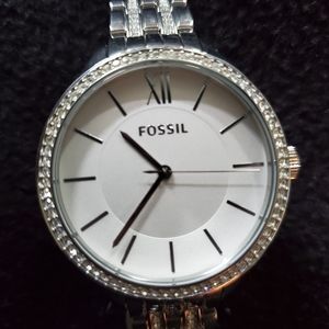 Fossils Watch